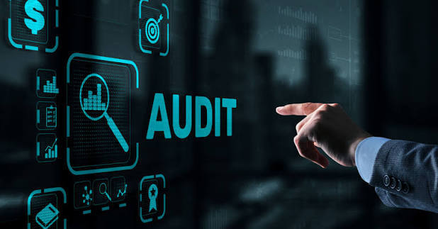 audit article